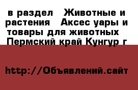  в раздел : Животные и растения » Аксесcуары и товары для животных . Пермский край,Кунгур г.
